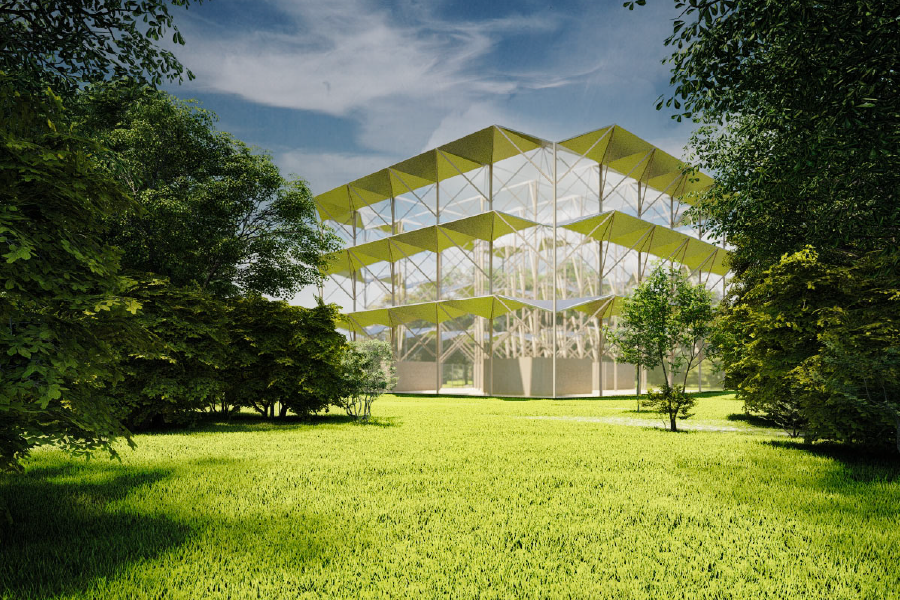 CLT Forest_森美裕