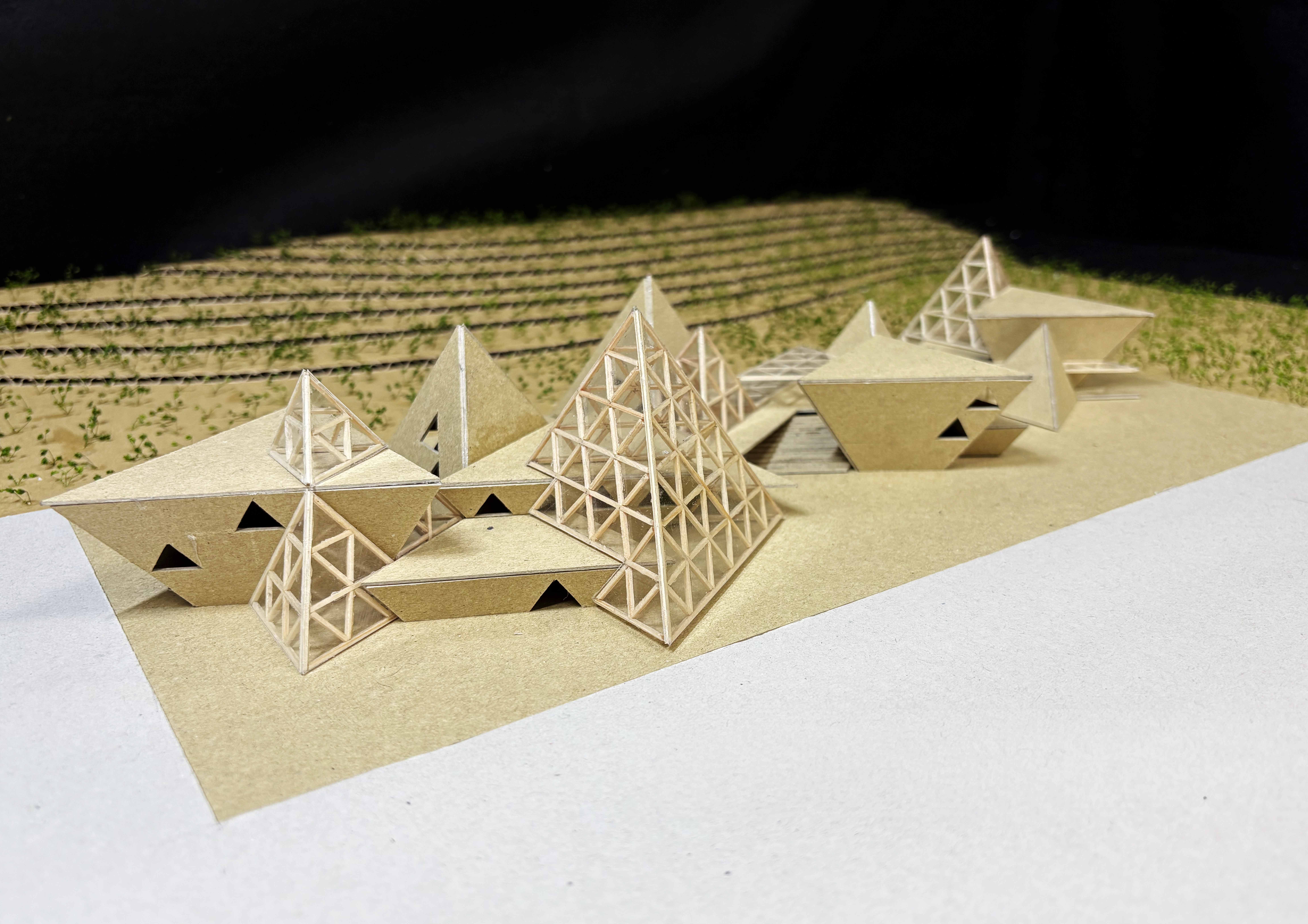 断面が連なる山のような建築_坂元陽祐